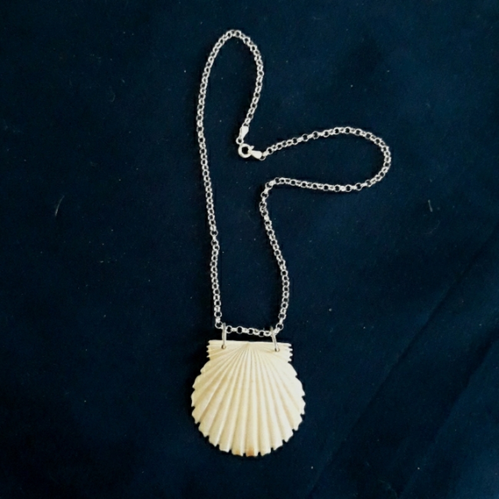 scallop shell necklace